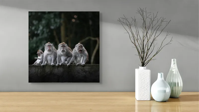 Tablou Canvas, "Grup de maimuțe pe zid verde", Scenă, Maimuțe, Grup, Natură, Copaci, Fundal, Zid, Trooping, 50 x 50 cm – poza 3