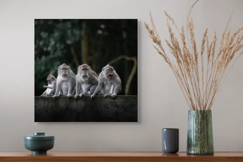 Tablou Canvas, "Grup de maimuțe pe zid verde", Scenă, Maimuțe, Grup, Natură, Copaci, Fundal, Zid, Trooping, 50 x 50 cm – poza 4