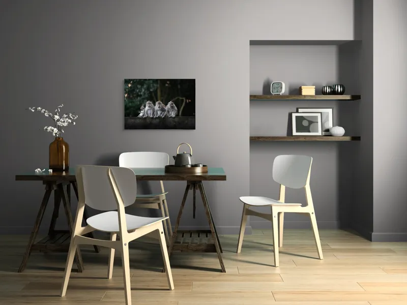 Tablou Canvas, "Grup de maimuțe pe zid verde", Scenă, Maimuțe, Grup, Natură, Copaci, Fundal, Zid, Trooping, 70 x 50 cm – poza 5