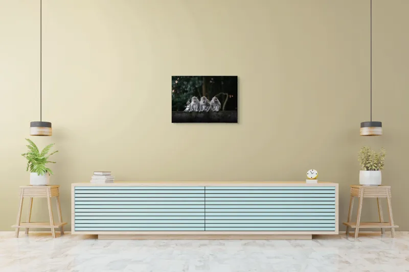 Tablou Canvas, "Grup de maimuțe pe zid verde", Scenă, Maimuțe, Grup, Natură, Copaci, Fundal, Zid, Trooping, 70 x 50 cm – poza 7
