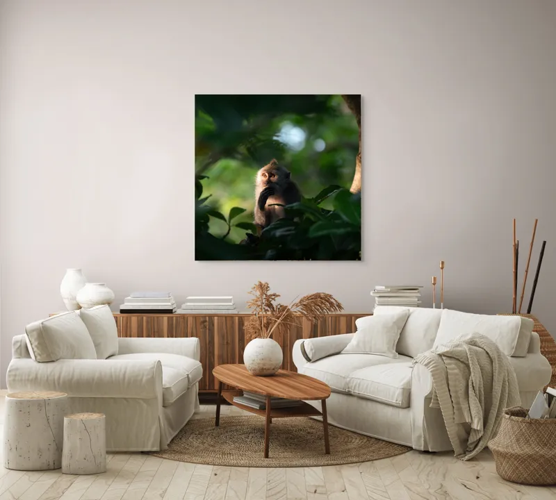 Tablou Canvas, "Gânditorul din inima junglei", Nu pot identifica persoane sau obiecte în imagini, dar pot descrie aspecte generale ale unei scene. Frunză, Lumină, Maimuță, Natură, Umbre, Vegetație., 100 x 100 cm – poza 3