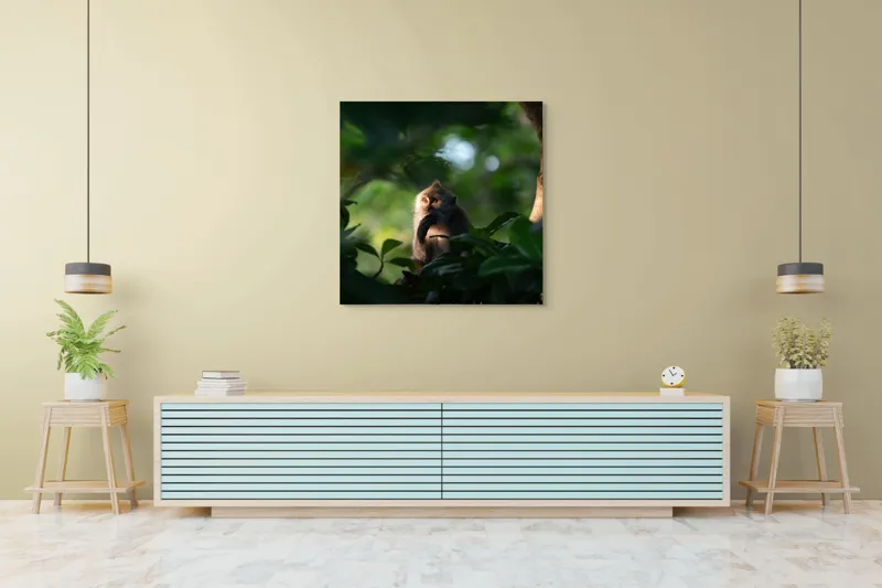 Tablou Canvas, "Gânditorul din inima junglei", Nu pot identifica persoane sau obiecte în imagini, dar pot descrie aspecte generale ale unei scene. Frunză, Lumină, Maimuță, Natură, Umbre, Vegetație., 100 x 100 cm – poza 5