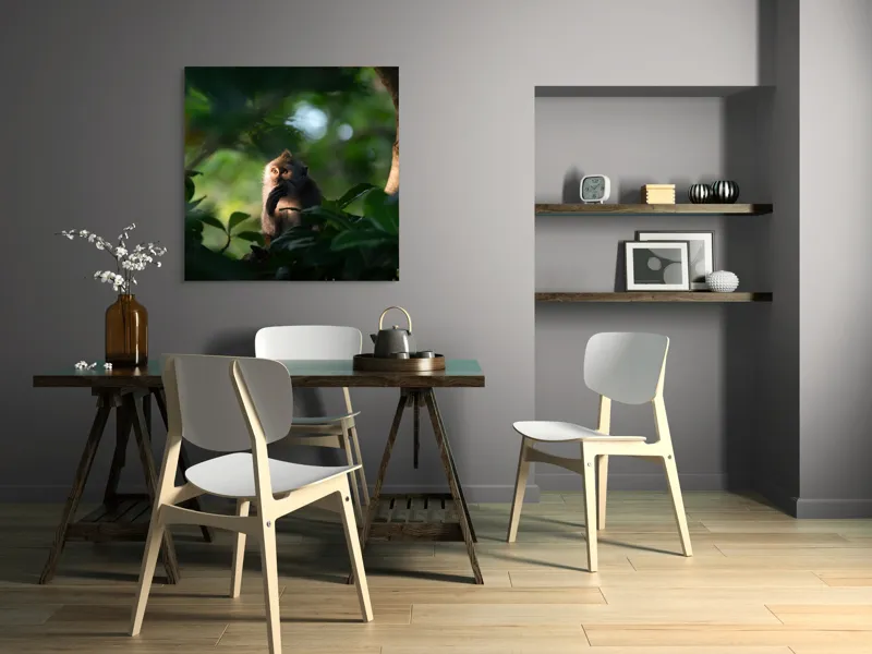 Tablou Canvas, "Gânditorul din inima junglei", Nu pot identifica persoane sau obiecte în imagini, dar pot descrie aspecte generale ale unei scene. Frunză, Lumină, Maimuță, Natură, Umbre, Vegetație., 100 x 100 cm – poza 6
