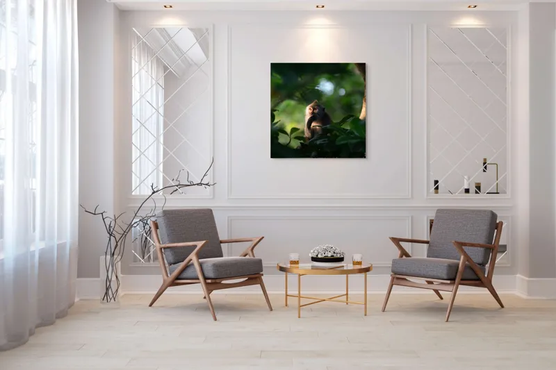 Tablou Canvas, "Gânditorul din inima junglei", Nu pot identifica persoane sau obiecte în imagini, dar pot descrie aspecte generale ale unei scene. Frunză, Lumină, Maimuță, Natură, Umbre, Vegetație., 100 x 100 cm – poza 7