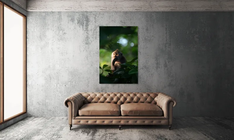Tablou Canvas, "Gânditorul din inima junglei", Nu pot identifica persoane sau obiecte în imagini, dar pot descrie aspecte generale ale unei scene. Frunză, Lumină, Maimuță, Natură, Umbre, Vegetație., 100 x 150 cm – poza 6
