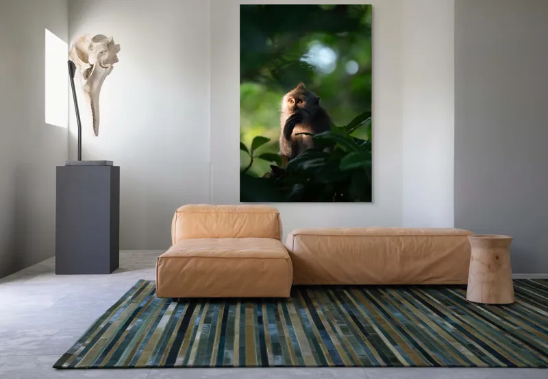 Tablou Canvas, "Gânditorul din inima junglei", Nu pot identifica persoane sau obiecte în imagini, dar pot descrie aspecte generale ale unei scene. Frunză, Lumină, Maimuță, Natură, Umbre, Vegetație., 100 x 150 cm – poza 7