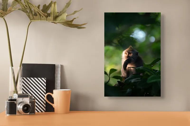 Tablou Canvas, "Gânditorul din inima junglei", Nu pot identifica persoane sau obiecte în imagini, dar pot descrie aspecte generale ale unei scene. Frunză, Lumină, Maimuță, Natură, Umbre, Vegetație., 26 x 39 cm – poza 3