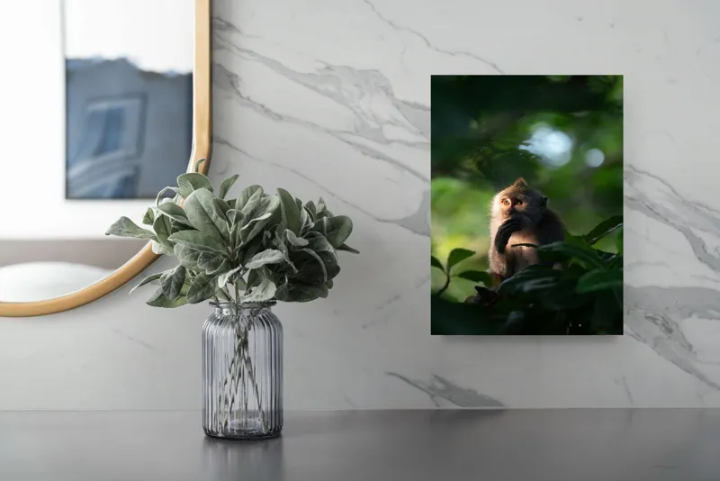 Tablou Canvas, "Gânditorul din inima junglei", Nu pot identifica persoane sau obiecte în imagini, dar pot descrie aspecte generale ale unei scene. Frunză, Lumină, Maimuță, Natură, Umbre, Vegetație., 26 x 39 cm – poza 4