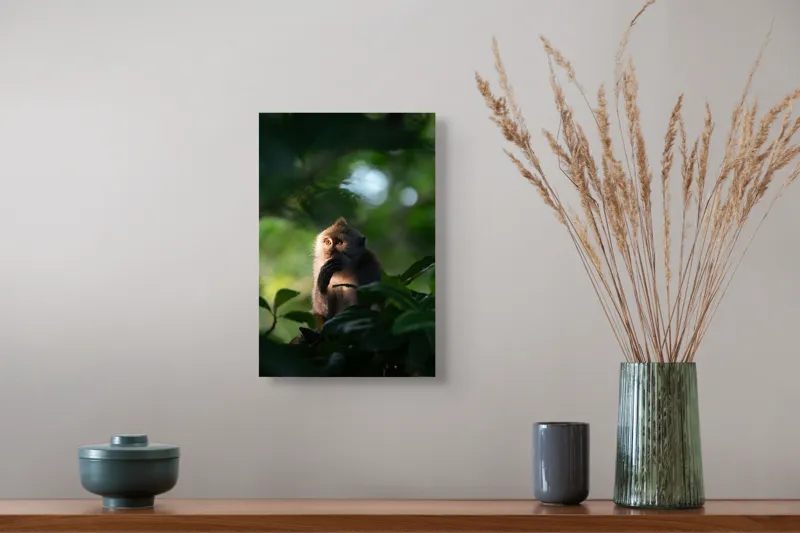 Tablou Canvas, "Gânditorul din inima junglei", Nu pot identifica persoane sau obiecte în imagini, dar pot descrie aspecte generale ale unei scene. Frunză, Lumină, Maimuță, Natură, Umbre, Vegetație., 26 x 39 cm – poza 5