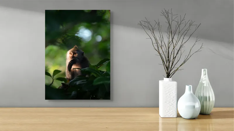 Tablou Canvas, "Gânditorul din inima junglei", Nu pot identifica persoane sau obiecte în imagini, dar pot descrie aspecte generale ale unei scene. Frunză, Lumină, Maimuță, Natură, Umbre, Vegetație., 39 x 54 cm – poza 4