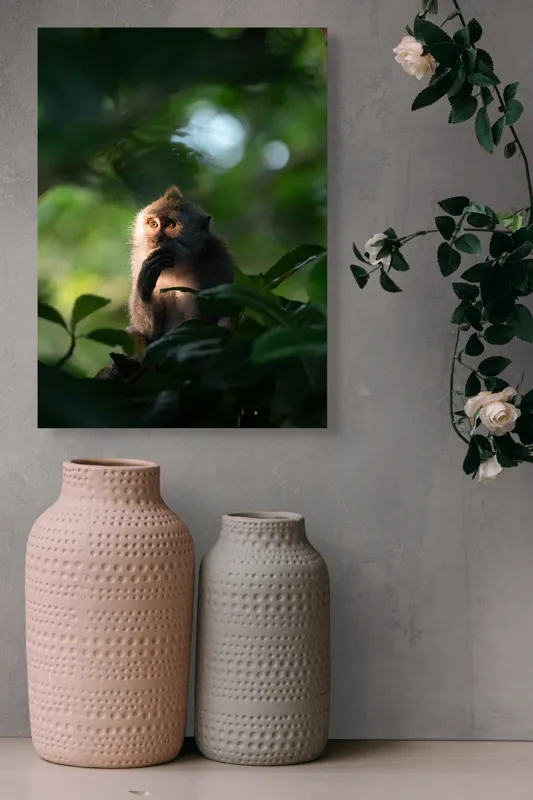 Tablou Canvas, "Gânditorul din inima junglei", Nu pot identifica persoane sau obiecte în imagini, dar pot descrie aspecte generale ale unei scene. Frunză, Lumină, Maimuță, Natură, Umbre, Vegetație., 39 x 54 cm – poza 6