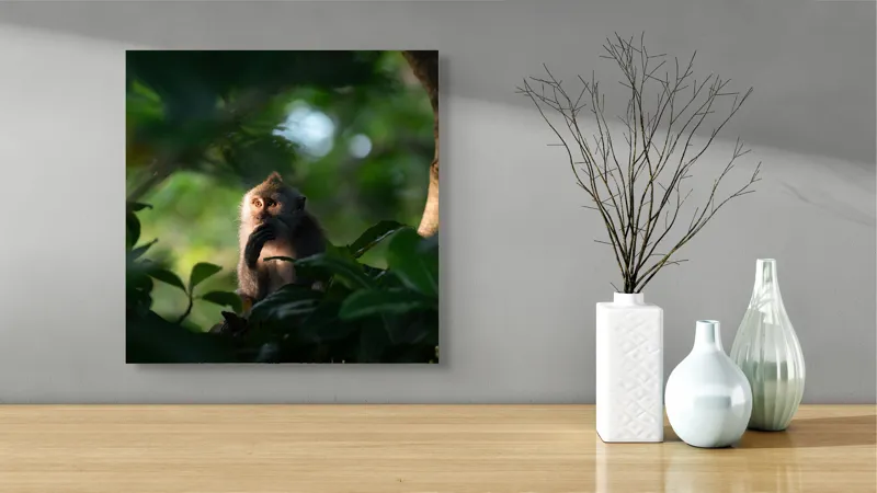 Tablou Canvas, "Gânditorul din inima junglei", Nu pot identifica persoane sau obiecte în imagini, dar pot descrie aspecte generale ale unei scene. Frunză, Lumină, Maimuță, Natură, Umbre, Vegetație., 50 x 50 cm – poza 3