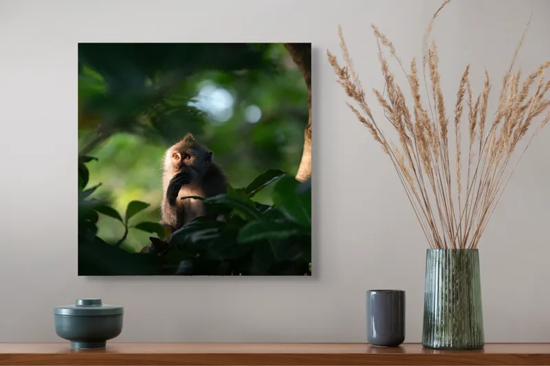 Tablou Canvas, "Gânditorul din inima junglei", Nu pot identifica persoane sau obiecte în imagini, dar pot descrie aspecte generale ale unei scene. Frunză, Lumină, Maimuță, Natură, Umbre, Vegetație., 50 x 50 cm – poza 4
