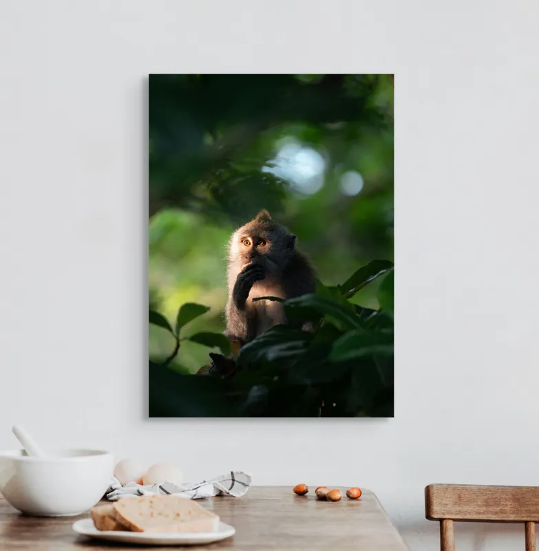 Tablou Canvas, "Gânditorul din inima junglei", Nu pot identifica persoane sau obiecte în imagini, dar pot descrie aspecte generale ale unei scene. Frunză, Lumină, Maimuță, Natură, Umbre, Vegetație., 50 x 70 cm – poza 3