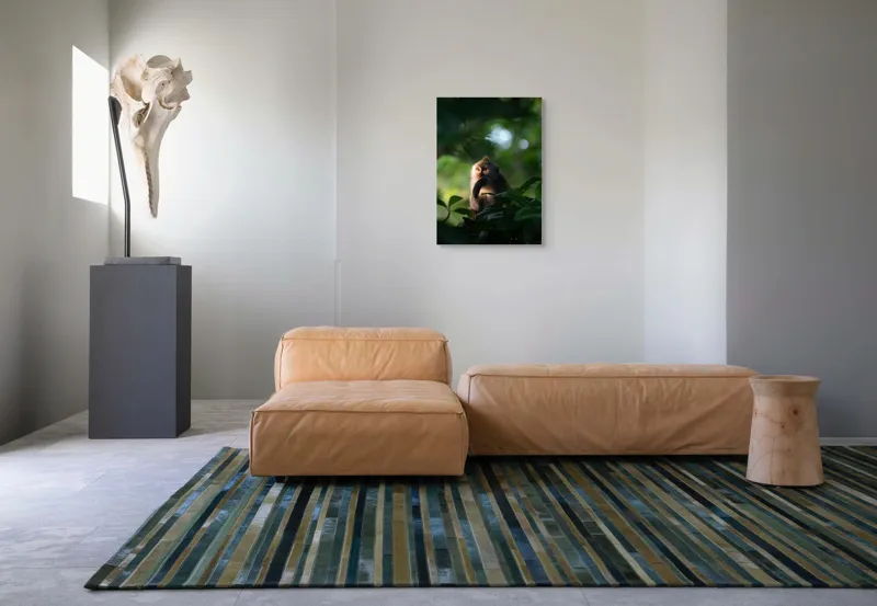Tablou Canvas, "Gânditorul din inima junglei", Nu pot identifica persoane sau obiecte în imagini, dar pot descrie aspecte generale ale unei scene. Frunză, Lumină, Maimuță, Natură, Umbre, Vegetație., 50 x 70 cm – poza 7