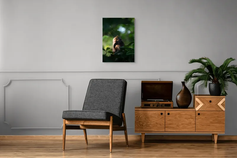 Tablou Canvas, "Gânditorul din inima junglei", Nu pot identifica persoane sau obiecte în imagini, dar pot descrie aspecte generale ale unei scene. Frunză, Lumină, Maimuță, Natură, Umbre, Vegetație., 50 x 70 cm – poza 8