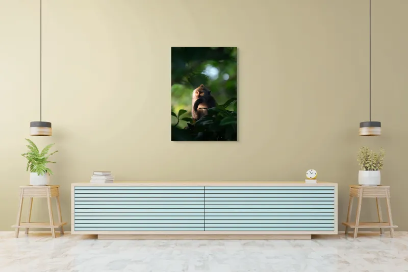 Tablou Canvas, "Gânditorul din inima junglei", Nu pot identifica persoane sau obiecte în imagini, dar pot descrie aspecte generale ale unei scene. Frunză, Lumină, Maimuță, Natură, Umbre, Vegetație., 70 x 100 cm – poza 5