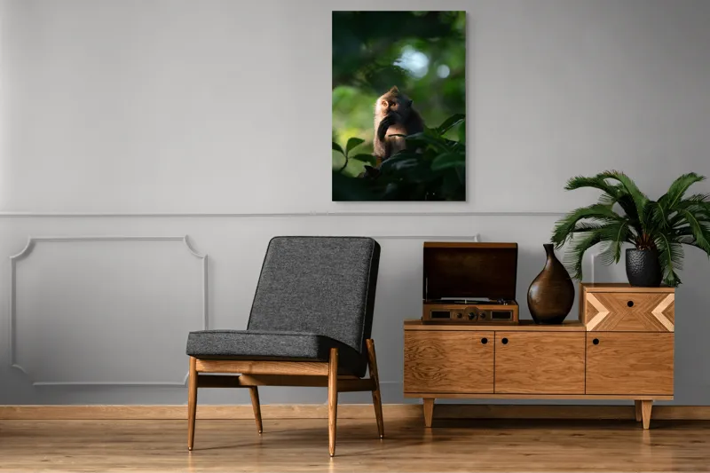 Tablou Canvas, "Gânditorul din inima junglei", Nu pot identifica persoane sau obiecte în imagini, dar pot descrie aspecte generale ale unei scene. Frunză, Lumină, Maimuță, Natură, Umbre, Vegetație., 70 x 100 cm – poza 6