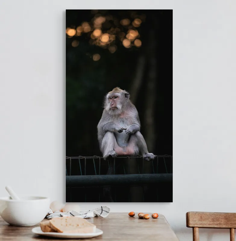 Tablou Canvas, "Maimuța visătoare privește apusul", Maimuță, Bară, Fundal, Pădure, Amurg, Lumină, Siluetă, Gânditor, Blană, Noapte, 50 x 90 cm – poza 3
