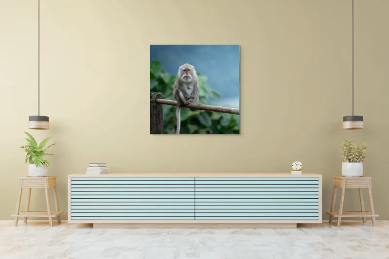 Tablou Canvas, "Maimuța contemplând natura în ploaie", Bode, Seriozitate, Junglă, Coadă, Blană, Maimuță, Natură, Meditație, 100 x 100 cm – poza 5