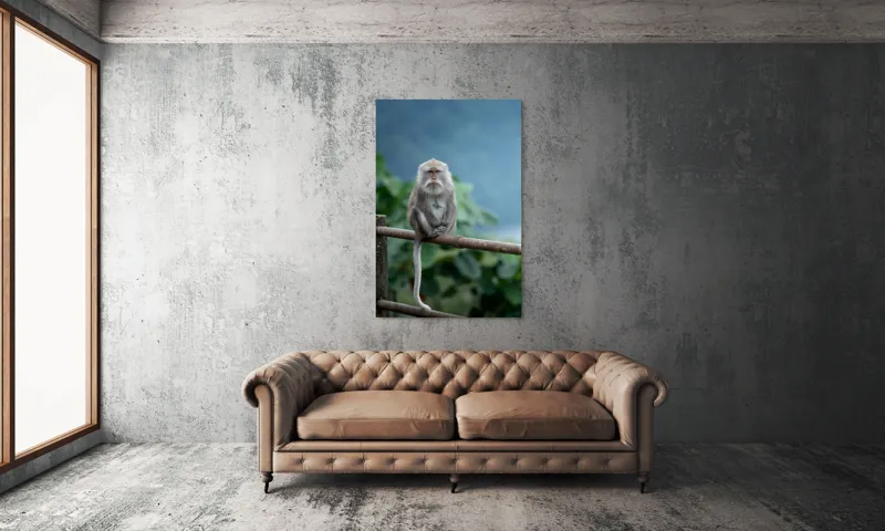 Tablou Canvas, "Maimuța contemplând natura în ploaie", Bode, Seriozitate, Junglă, Coadă, Blană, Maimuță, Natură, Meditație, 100 x 150 cm – poza 6