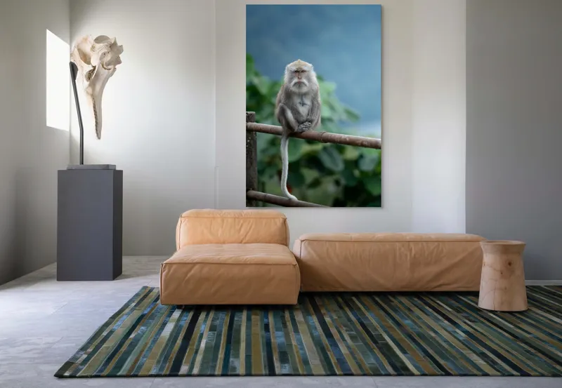Tablou Canvas, "Maimuța contemplând natura în ploaie", Bode, Seriozitate, Junglă, Coadă, Blană, Maimuță, Natură, Meditație, 100 x 150 cm – poza 7