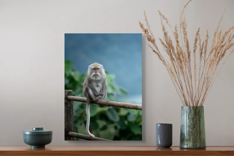 Tablou Canvas, "Maimuța contemplând natura în ploaie", Bode, Seriozitate, Junglă, Coadă, Blană, Maimuță, Natură, Meditație, 39 x 54 cm – poza 3