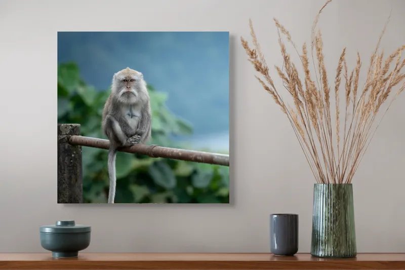 Tablou Canvas, "Maimuța contemplând natura în ploaie", Bode, Seriozitate, Junglă, Coadă, Blană, Maimuță, Natură, Meditație, 50 x 50 cm – poza 4