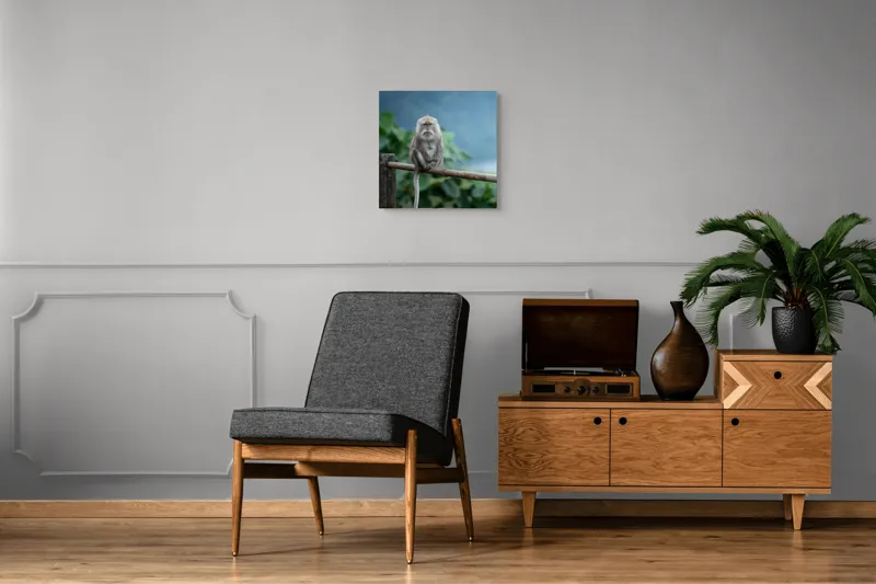 Tablou Canvas, "Maimuța contemplând natura în ploaie", Bode, Seriozitate, Junglă, Coadă, Blană, Maimuță, Natură, Meditație, 50 x 50 cm – poza 6