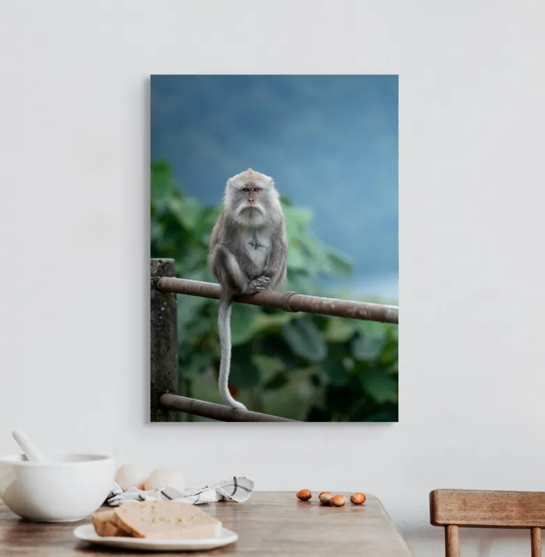 Tablou Canvas, "Maimuța contemplând natura în ploaie", Bode, Seriozitate, Junglă, Coadă, Blană, Maimuță, Natură, Meditație, 50 x 70 cm – poza 3