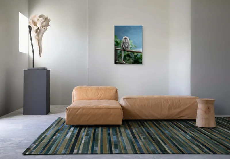 Tablou Canvas, "Maimuța contemplând natura în ploaie", Bode, Seriozitate, Junglă, Coadă, Blană, Maimuță, Natură, Meditație, 50 x 70 cm – poza 7