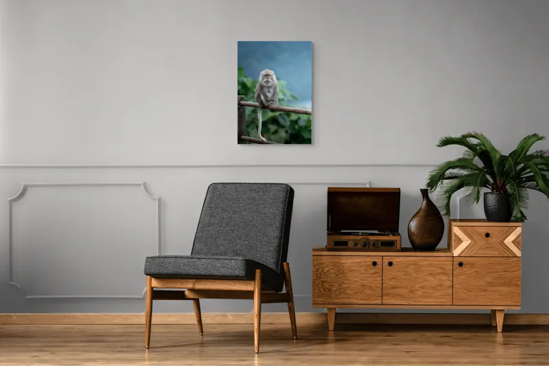 Tablou Canvas, "Maimuța contemplând natura în ploaie", Bode, Seriozitate, Junglă, Coadă, Blană, Maimuță, Natură, Meditație, 50 x 70 cm – poza 8