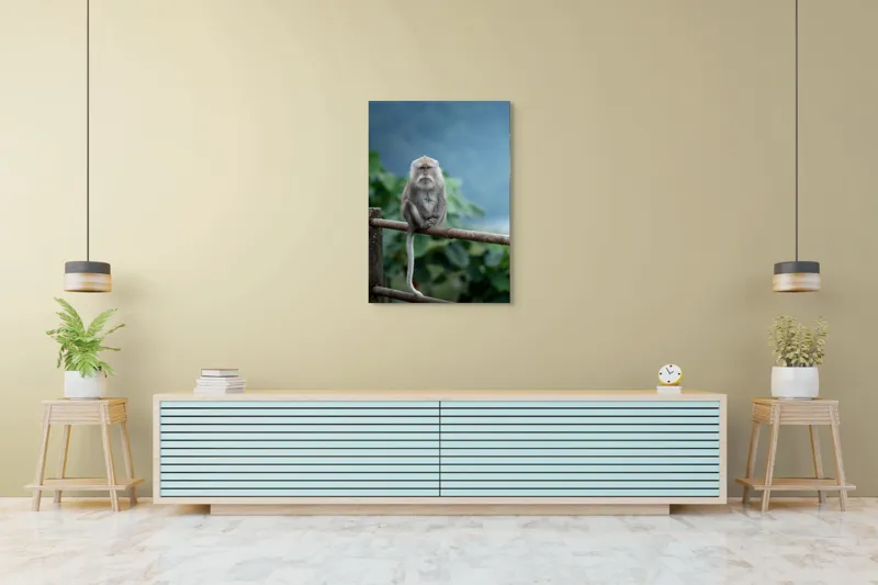 Tablou Canvas, "Maimuța contemplând natura în ploaie", Bode, Seriozitate, Junglă, Coadă, Blană, Maimuță, Natură, Meditație, 70 x 100 cm – poza 5