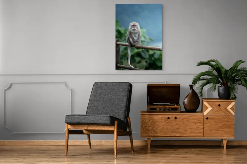 Tablou Canvas, "Maimuța contemplând natura în ploaie", Bode, Seriozitate, Junglă, Coadă, Blană, Maimuță, Natură, Meditație, 70 x 100 cm – poza 6
