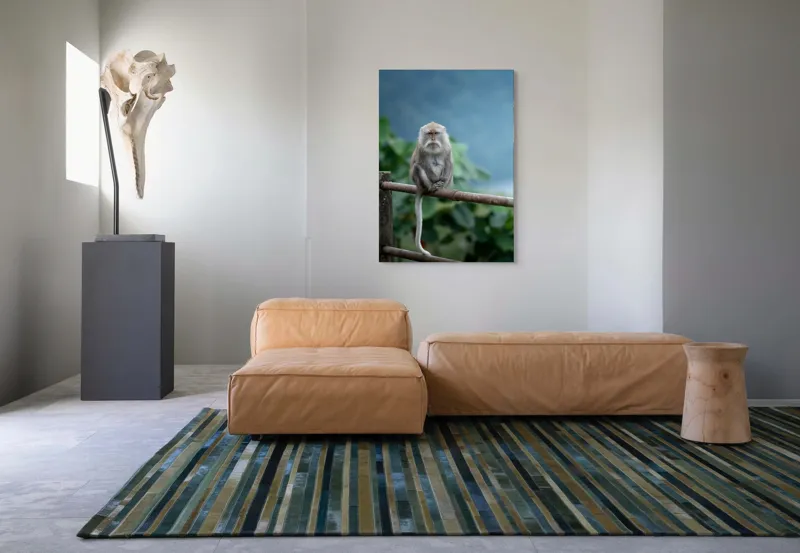 Tablou Canvas, "Maimuța contemplând natura în ploaie", Bode, Seriozitate, Junglă, Coadă, Blană, Maimuță, Natură, Meditație, 70 x 100 cm – poza 7