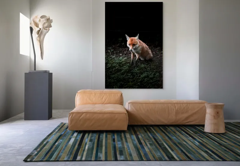 Tablou Canvas, "Vulpea în umbra pădurii verzi", Fox, Forest, Dark, Alert, Greenery, 100 x 150 cm – poza 7