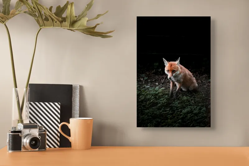 Tablou Canvas, "Vulpea în umbra pădurii verzi", Fox, Forest, Dark, Alert, Greenery, 26 x 39 cm – poza 3