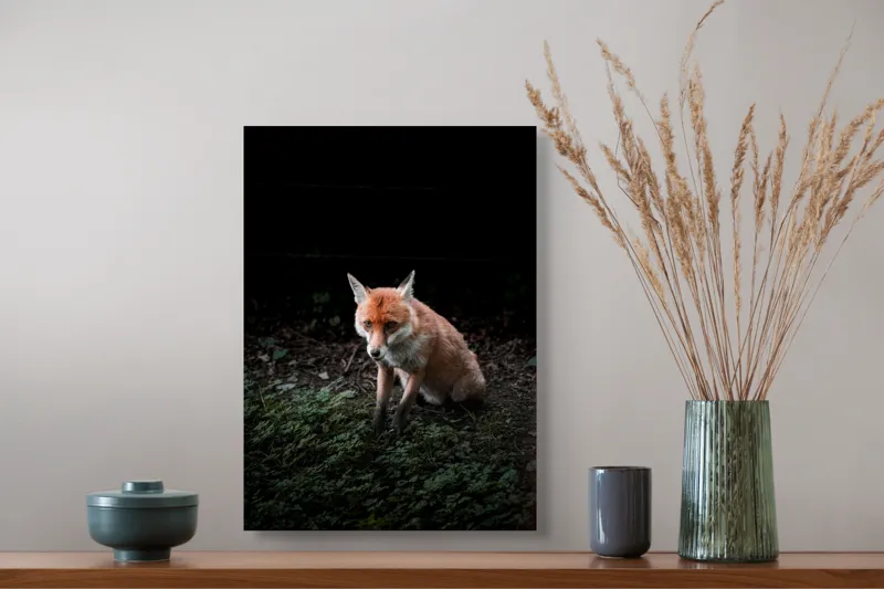Tablou Canvas, "Vulpea în umbra pădurii verzi", Fox, Forest, Dark, Alert, Greenery, 39 x 54 cm – poza 3
