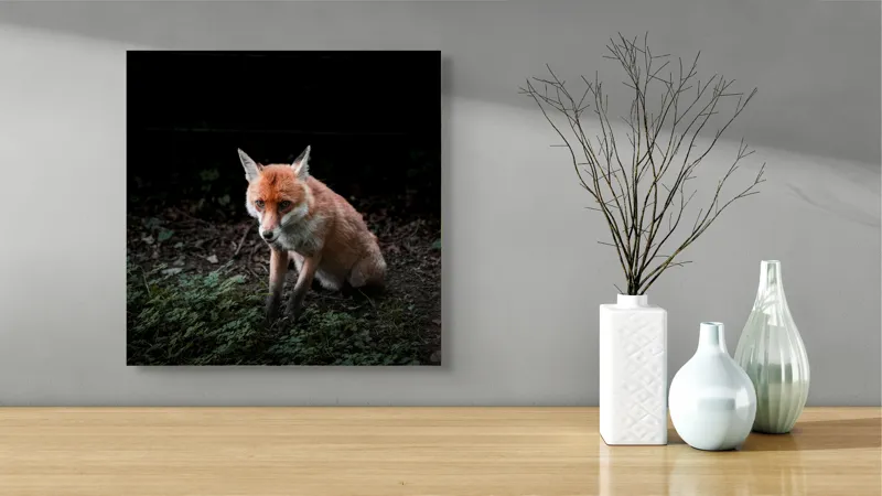 Tablou Canvas, "Vulpea în umbra pădurii verzi", Fox, Forest, Dark, Alert, Greenery, 50 x 50 cm – poza 3