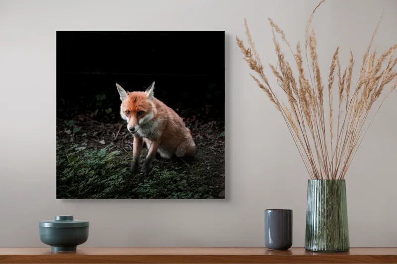 Tablou Canvas, "Vulpea în umbra pădurii verzi", Fox, Forest, Dark, Alert, Greenery, 50 x 50 cm – poza 4