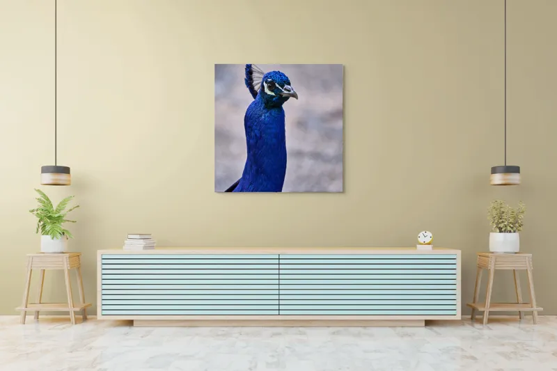 Tablou Canvas, "Strălucirea regală a păunului albastru", Pene, Albastru, Elegant, Penaj, Grațios, Regal, Strălucitor, Majestic., 100 x 100 cm – poza 5