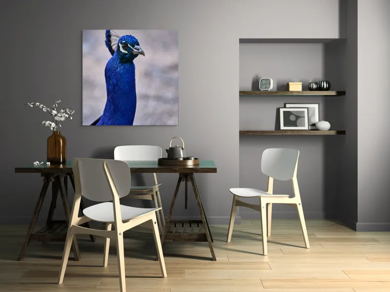 Tablou Canvas, "Strălucirea regală a păunului albastru", Pene, Albastru, Elegant, Penaj, Grațios, Regal, Strălucitor, Majestic., 100 x 100 cm – poza 6