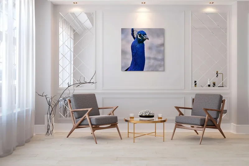 Tablou Canvas, "Strălucirea regală a păunului albastru", Pene, Albastru, Elegant, Penaj, Grațios, Regal, Strălucitor, Majestic., 100 x 100 cm – poza 7