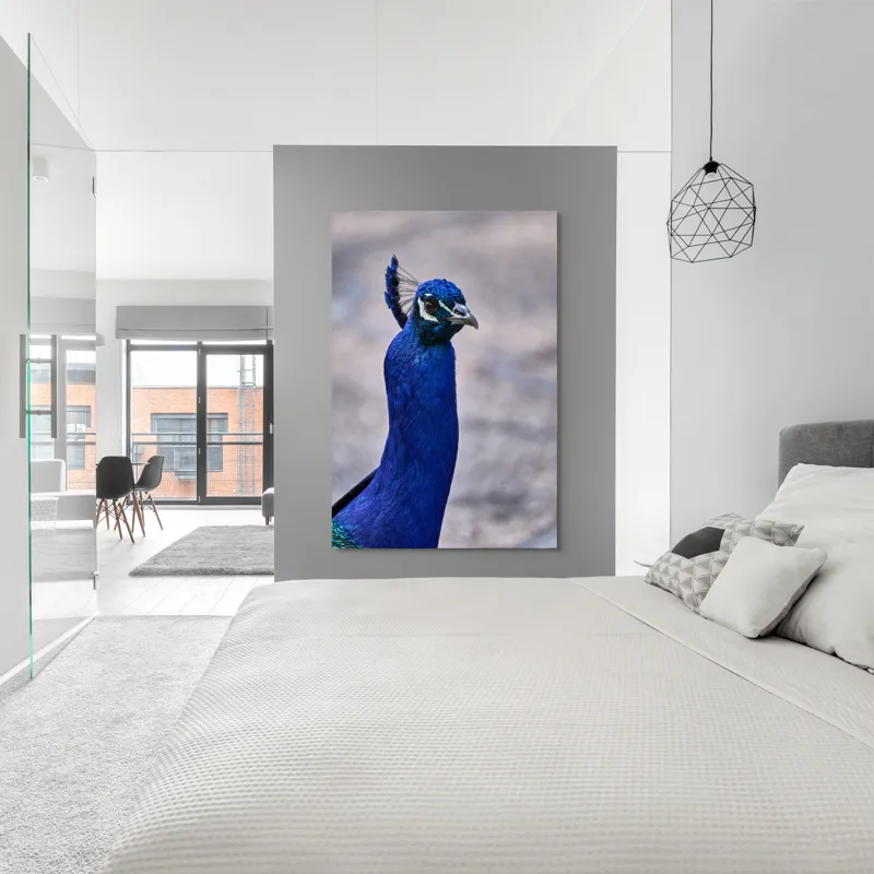 Tablou Canvas, "Strălucirea regală a păunului albastru", Pene, Albastru, Elegant, Penaj, Grațios, Regal, Strălucitor, Majestic., 100 x 150 cm – poza 5