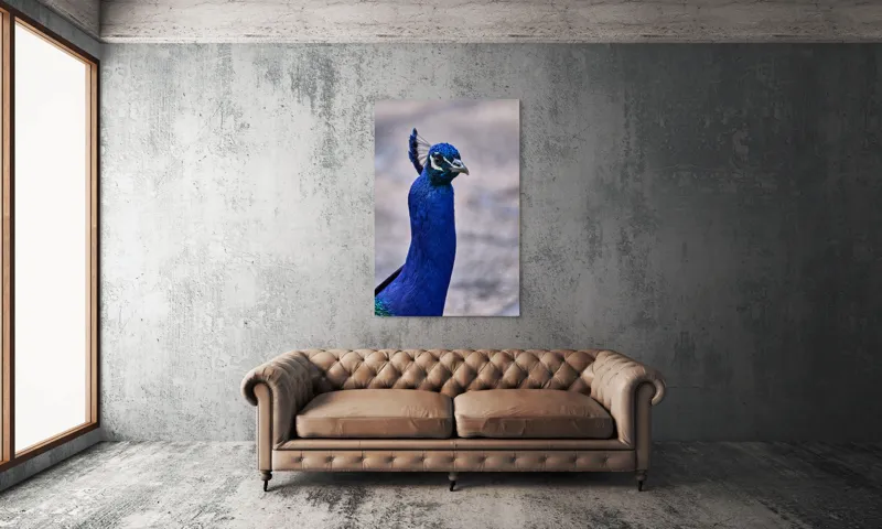 Tablou Canvas, "Strălucirea regală a păunului albastru", Pene, Albastru, Elegant, Penaj, Grațios, Regal, Strălucitor, Majestic., 100 x 150 cm – poza 6