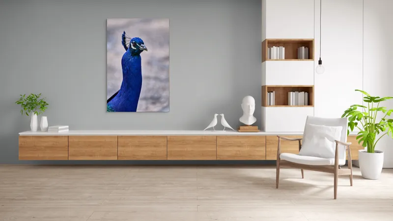 Tablou Canvas, "Strălucirea regală a păunului albastru", Pene, Albastru, Elegant, Penaj, Grațios, Regal, Strălucitor, Majestic., 100 x 150 cm – poza 8