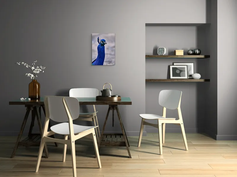 Tablou Canvas, "Strălucirea regală a păunului albastru", Pene, Albastru, Elegant, Penaj, Grațios, Regal, Strălucitor, Majestic., 39 x 54 cm – poza 7
