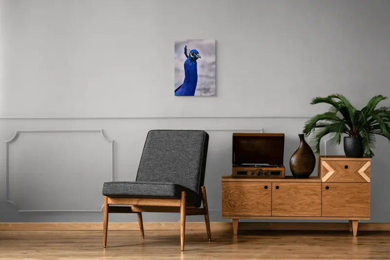 Tablou Canvas, "Strălucirea regală a păunului albastru", Pene, Albastru, Elegant, Penaj, Grațios, Regal, Strălucitor, Majestic., 39 x 54 cm – poza 8