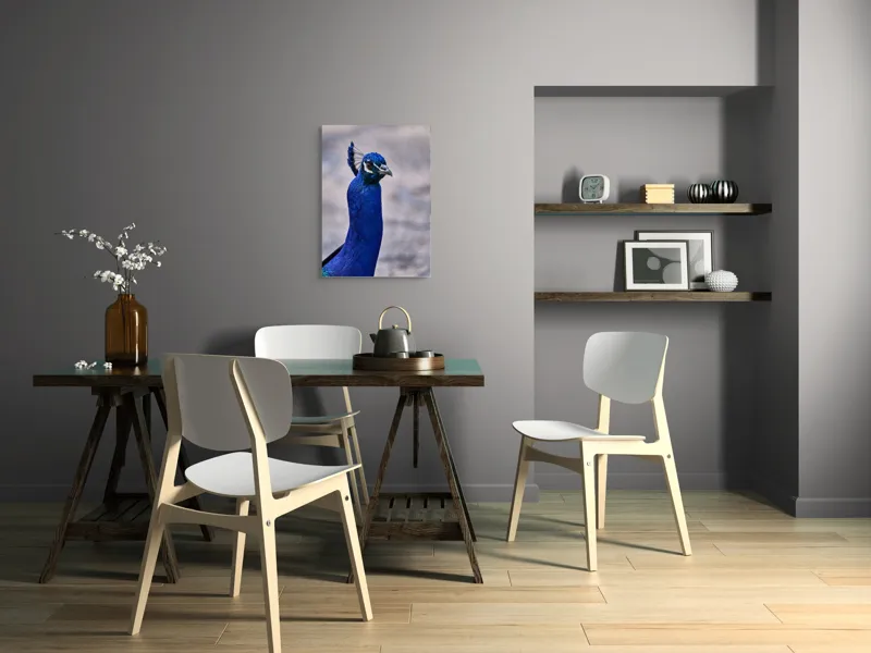 Tablou Canvas, "Strălucirea regală a păunului albastru", Pene, Albastru, Elegant, Penaj, Grațios, Regal, Strălucitor, Majestic., 50 x 70 cm – poza 5