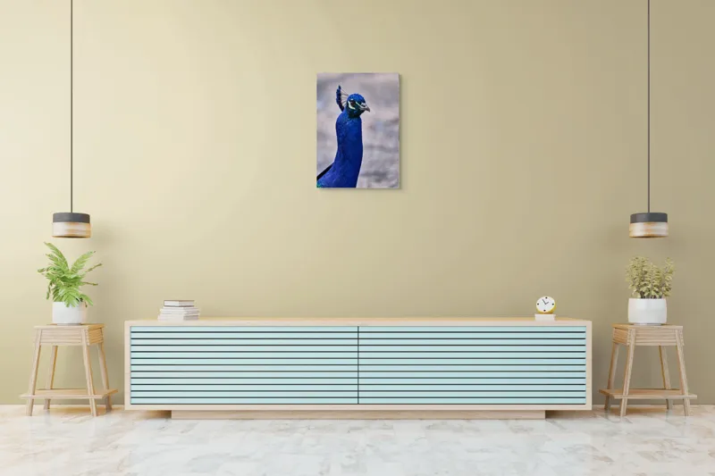 Tablou Canvas, "Strălucirea regală a păunului albastru", Pene, Albastru, Elegant, Penaj, Grațios, Regal, Strălucitor, Majestic., 50 x 70 cm – poza 6